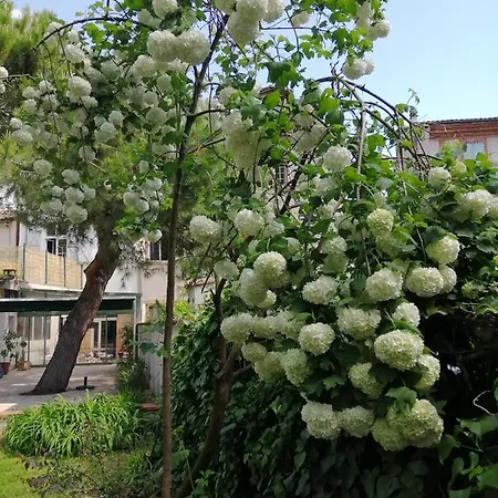 D'hotes Pmr Hildegarde Moissac