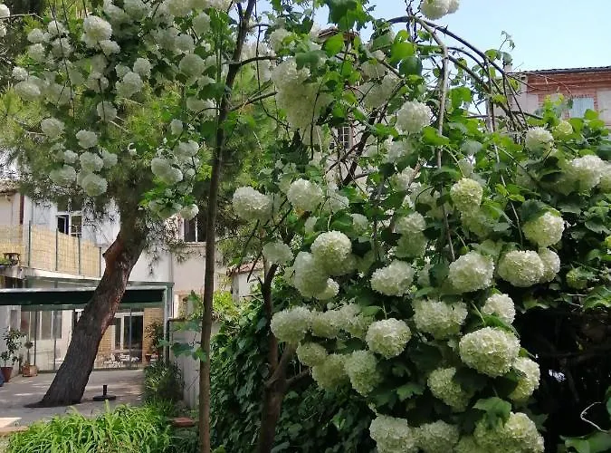 D'hôtes Pmr Hildegarde Moissac